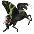 riding unicorn arabian horse flaxen liver chestnut 