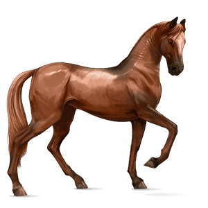 riding horse french trotter chestnut
