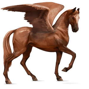 riding pegasus mustang chestnut blanket 