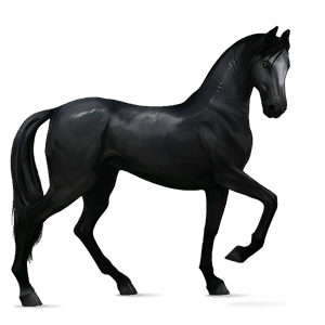 riding horse mustang mouse grey