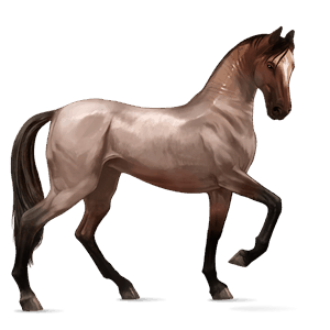 riding horse paint horse chestnut tobiano