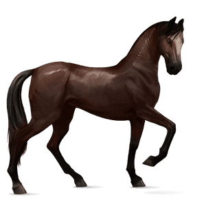 riding horse holsteiner liver chestnut