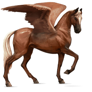 riding pegasus mustang chestnut spotted blanket 