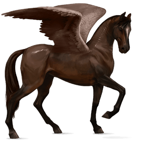 riding pegasus thoroughbred liver chestnut