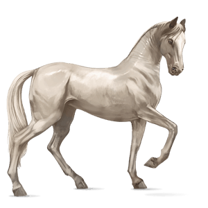riding horse cremello