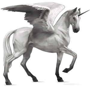 winged riding unicorn camargue light grey