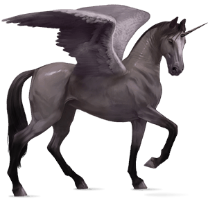 winged riding unicorn bay