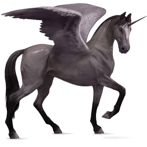 winged riding unicorn akhal-teke mouse grey