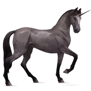 riding unicorn akhal-teke mouse grey