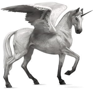 winged riding unicorn arabian horse fleabitten grey