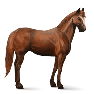 riding horse french trotter chestnut