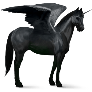winged riding unicorn quarter horse black
