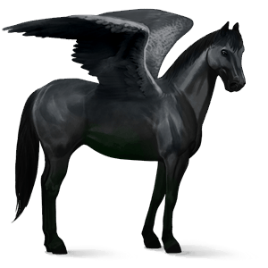 riding pegasus hanoverian cherry bay