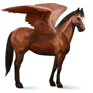 riding pegasus hanoverian bay