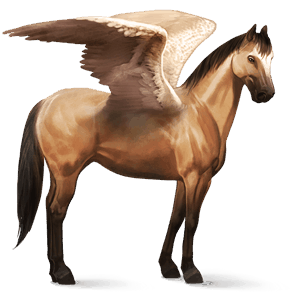 riding pegasus hanoverian cherry bay