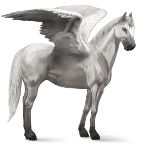 riding pegasus hanoverian light grey