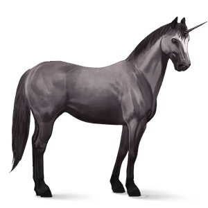 riding unicorn cherry bay