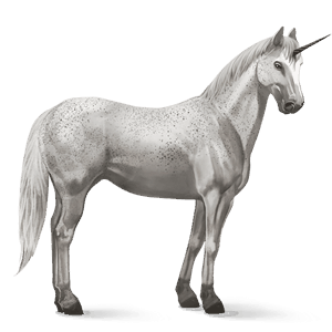riding unicorn holsteiner light grey