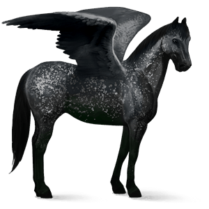 riding pegasus arabian horse chestnut