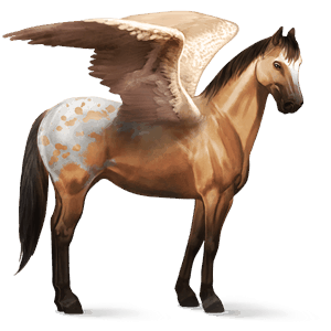 riding pegasus mustang dun spotted blanket