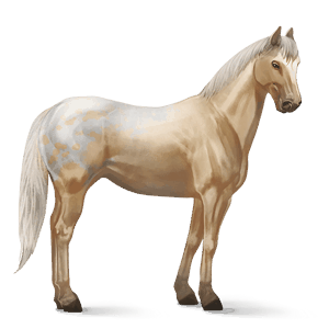 riding horse liver chestnut