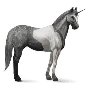 riding unicorn chestnut overo