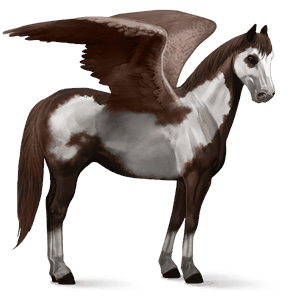 riding pegasus paint horse chestnut tobiano