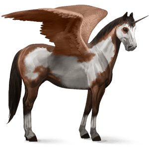 winged riding unicorn paint horse chestnut overo