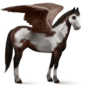 riding pegasus paint horse dark bay overo