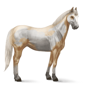 riding horse flaxen chestnut 