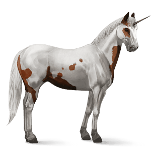 riding unicorn arabian horse black
