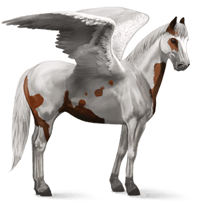 riding pegasus paint horse chestnut tovero 