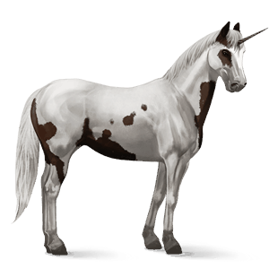 riding unicorn icelandic horse light grey