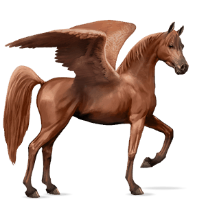 riding pegasus arabian horse fleabitten grey