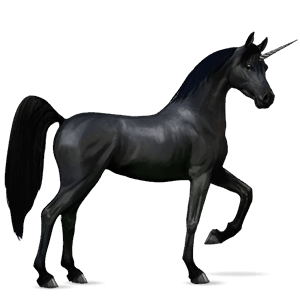 riding unicorn arabian horse mouse grey