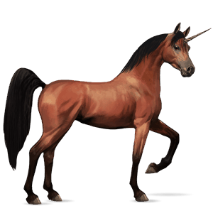 riding unicorn arabian horse bay