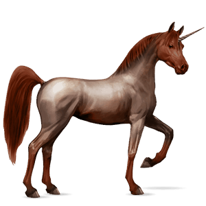 riding unicorn arabian horse dapple grey