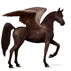 riding pegasus chestnut
