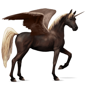 winged riding unicorn arabian horse dapple grey