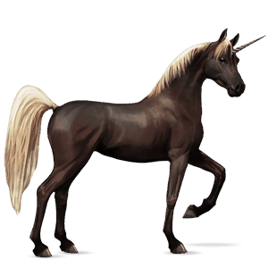 riding unicorn arabian horse black