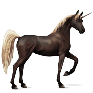 riding unicorn shagya arabian light grey