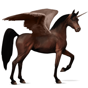 winged riding unicorn arabian horse dark bay