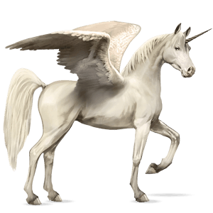 winged riding unicorn arabian horse light grey