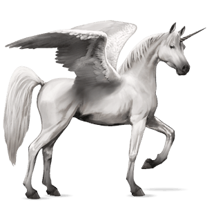 winged riding unicorn arabian horse light grey