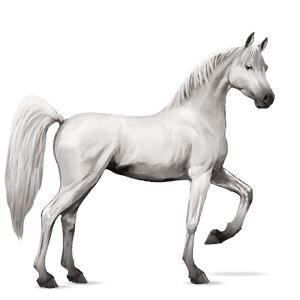 riding horse light grey