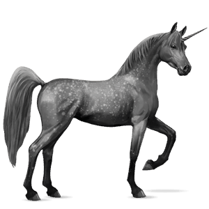 riding unicorn bay
