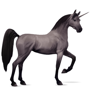 riding unicorn arabian horse liver chestnut