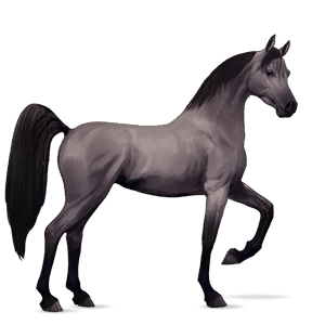 riding horse mouse grey