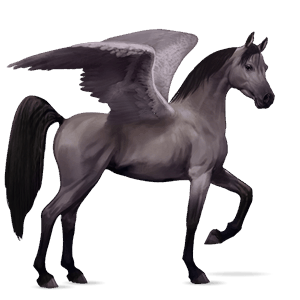 riding pegasus arabian horse mouse grey