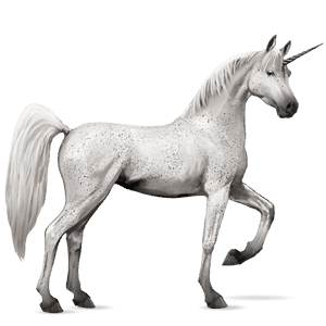 riding unicorn arabian horse fleabitten grey